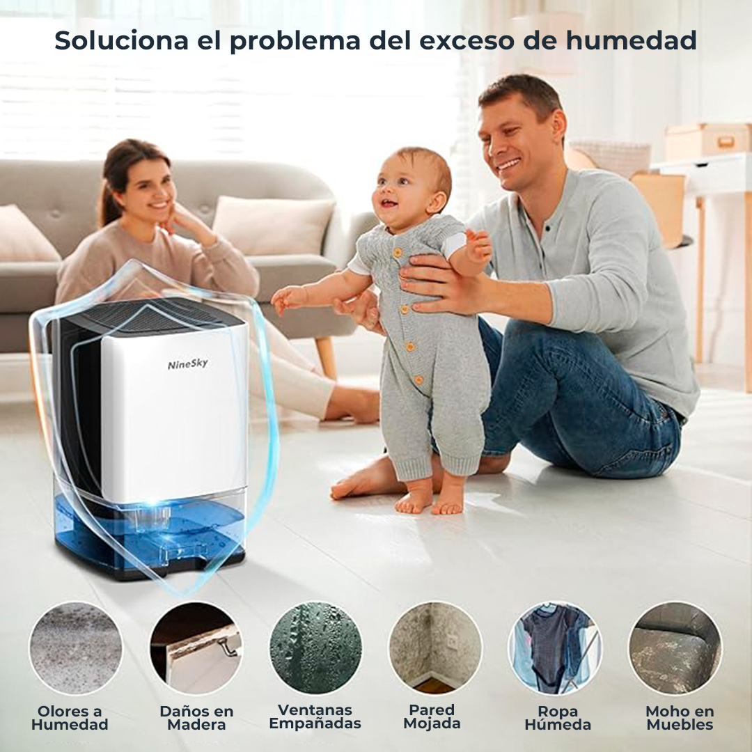 Deshumidificadores para hogares y oficinas - Elimina la Humedad